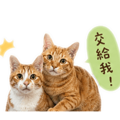 花輪木木好朋友