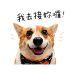 陳家寶寶妹