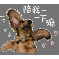 調皮搗蛋！我是焦糖