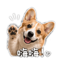樂樂cola的表情貼