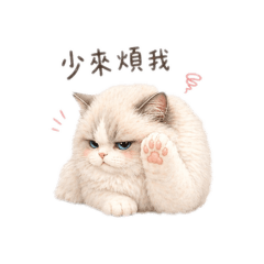 軟軟小豬咪