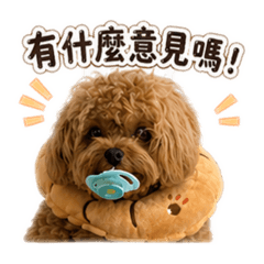 Lin Qbao7