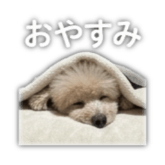 可愛湯圓寶寶 日文版