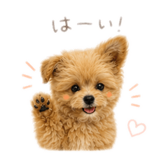 yutako_20260509193305