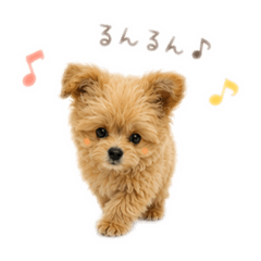 yutako_20260509193722