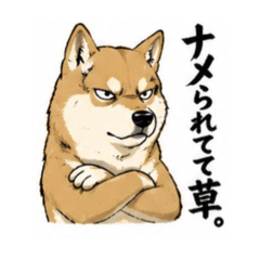 yamayama_20260509192934