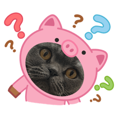 tarakochan2