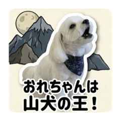 OKch_20260509193745
