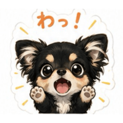 Koko_20260509192906