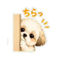 tomo_20260509165132