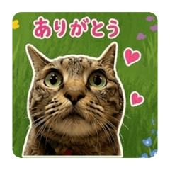 RYOTA_20260509165310