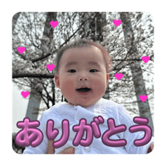 nono_20260509165414