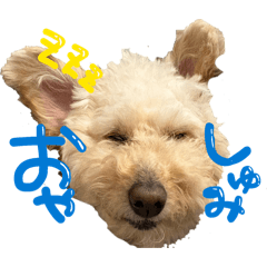 puriochansandechu_20260509224329