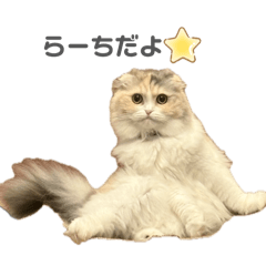L47A