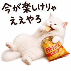 Yukinyan, a NEET and cheeky white cat
