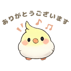 Cute round bird stickers