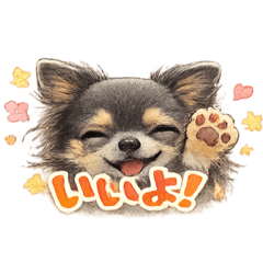 mayu Me_20260509164903