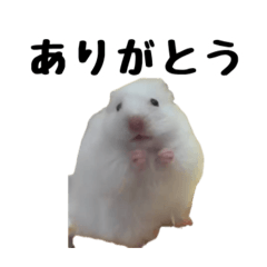 NANA_20260509231558