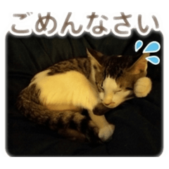 FUKUKenji_20260509223954