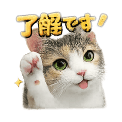 Yuito_20260509231846