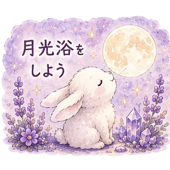 You May Dream Atelier_20260511113534