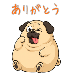 Pug  Life