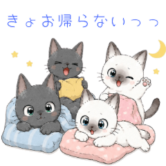 Wacha Wacha Four Cats - Family Chat