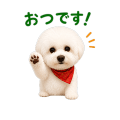Fluffy Bichon Work Stickers