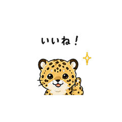 Hyohyo Leopard