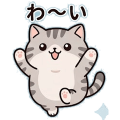 Chubby Ashy: Daily Paws of Joy