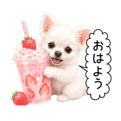 Cute Chihuahua Dessert Stickers
