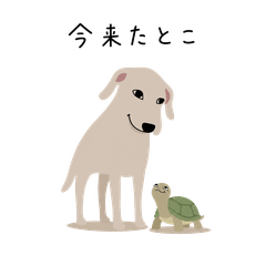 Dog & Turtle That Express Your Feelings