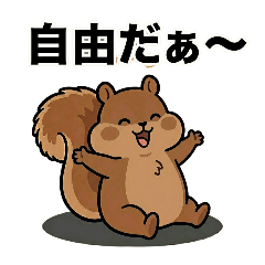 After Work Squirrel