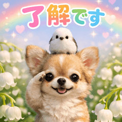 honorific language chihuahua p