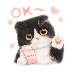 meow meow_20260509232231