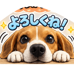 20260509232630beagle
