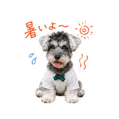 Saku_20260509233221