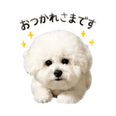 Masao_20260509232625