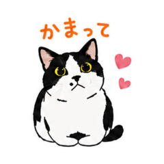 hanataro_20260509234508