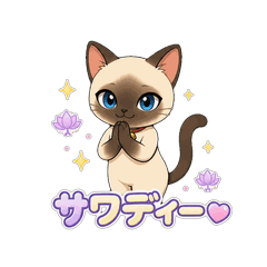Siamese cat Xiao Daily Stickers