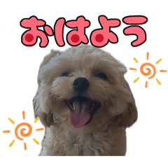 saya_20260509235839