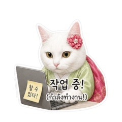 Lucky Cat2_20260510231648