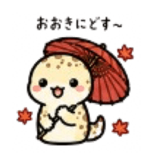 fuwaaaari_20260509235552