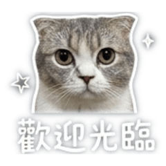 招財貓貓路卡