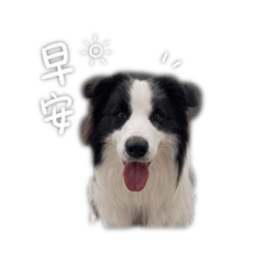 《本丸出沒請注意5》