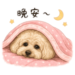 家裡の小餅乾