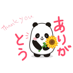 SUNNY_20260509233329