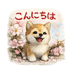 RISA_20260509232707