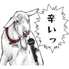 Easy to use real goat