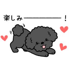 Dog sticker.#19 Toy Poodle(Black) 2